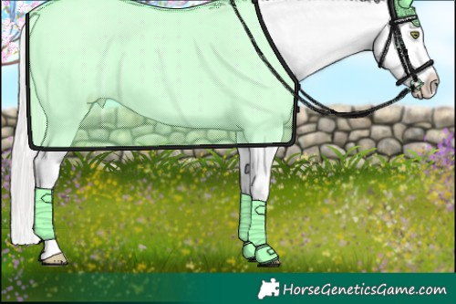 Horse Color:Silver Amber Champagne Dun Appaloosa