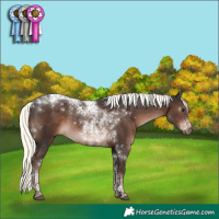Horse Color:Liver Chestnut Mushroom Tobiano 