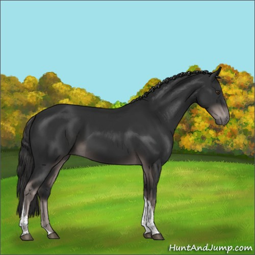 Horse Color:Platinum Liver Chestnut Tobiano 