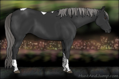 Horse Color:Platinum Liver Chestnut Tobiano 