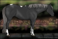 Horse Color:Platinum Liver Chestnut Tobiano 