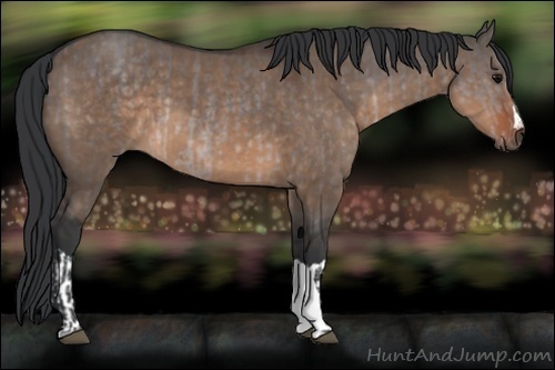 Horse Color:Platinum Brown Dun and Brown Dun