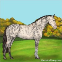 Horse Color:Platinum Brown Dun  and Amber Champagne Dun 