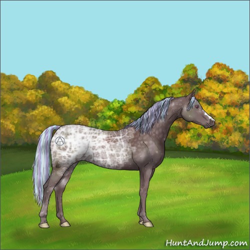 Horse Color:Painted Chocolate Silver Black Chinchilla Ice