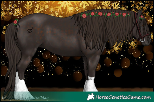 Horse Color:Liver Chestnut Tobiano 