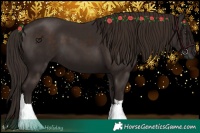 Horse Color:Liver Chestnut Tobiano 