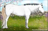 Horse Color:Smoky Black Sabino Tobiano Varnish 