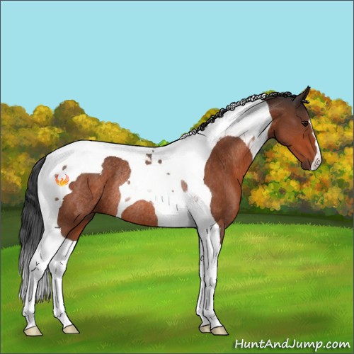 Horse Color:Bay Tobiano Rabicano
