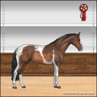 Horse Color:Bay Sabino Tobiano Rabicano