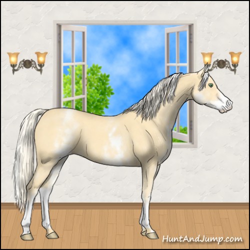 Horse Color:White Spotted Gold Cream Champagne 