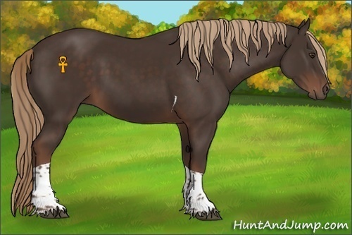 Horse Color:Liver Chestnut Tobiano 