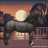 Horse Color:Smoky Black 