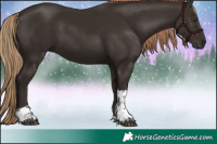 Horse Color:Liver Chestnut Tobiano 