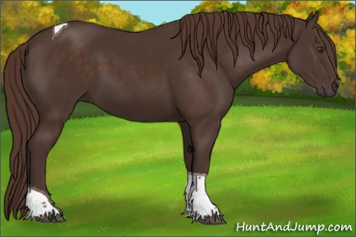 Horse Color:Liver Chestnut Tobiano 