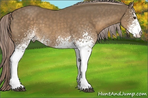 Horse Color:White Spotted Chocolate Palomino 