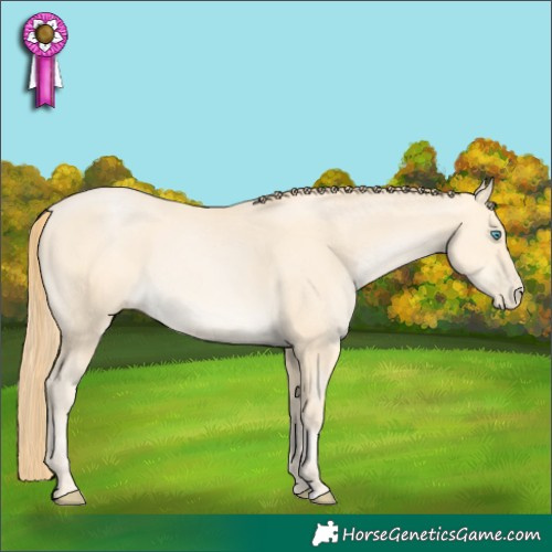 Horse Color:Buckskin Pearl 
