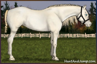 Horse Color:Buckskin Pearl 