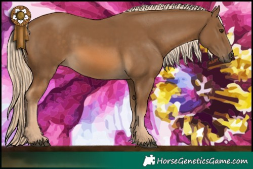 Horse Color:Chocolate Palomino 