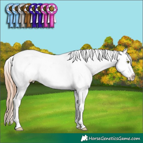 Horse Color:Gold Champagne Dun Tobiano Varnish 