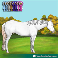 Horse Color:Gold Champagne Dun Tobiano Varnish 