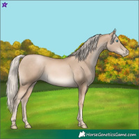 Horse Color:Chocolate Palomino Pearl 