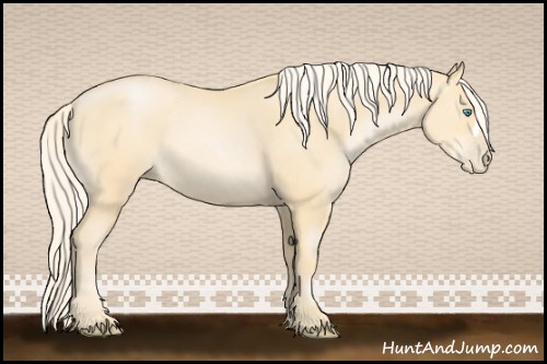 Horse Color:Palomino Pearl 
