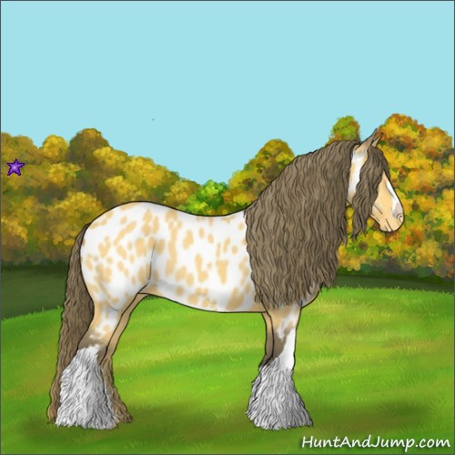 Horse Color:Buckskin Near Leopard 