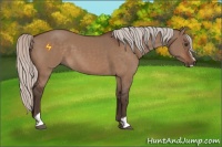 Horse Color:Silver Brown Dun Sabino 
