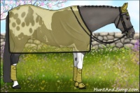 Horse Color:Grullo Tobiano Appaloosa