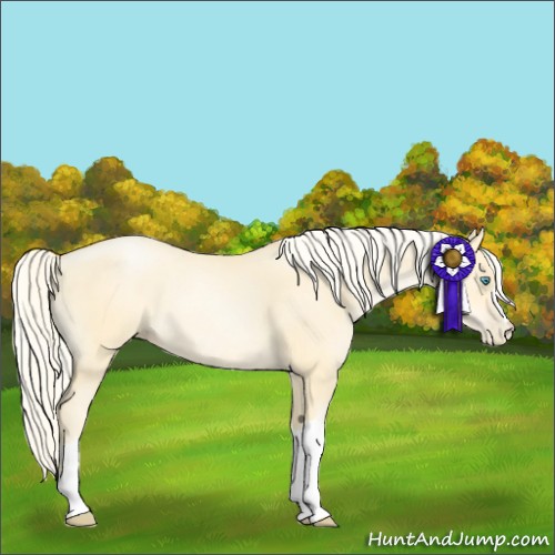 Horse Color:Palomino Pearl 