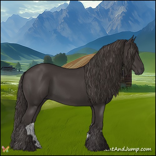Horse Color:Smoky Black 