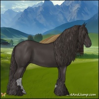 Horse Color:Smoky Black 