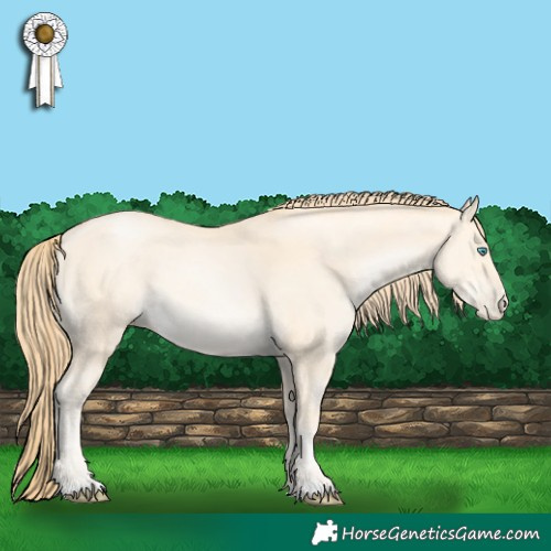 Horse Color:Buckskin Pearl 