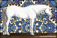 Horse Color:Brown Dun Appaloosa 