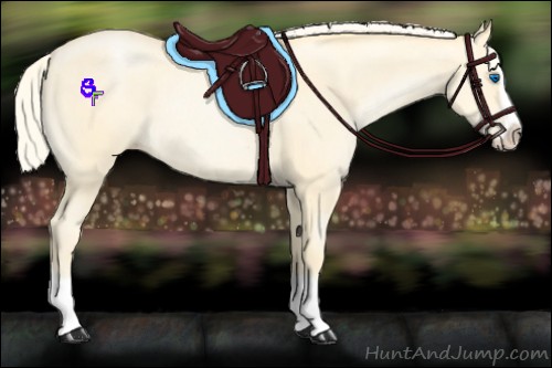Horse Color:Palomino Pearl Splash