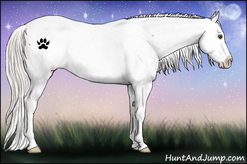 Horse Color:White Spotted Silver Brown Dun Near Fewspot