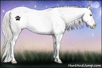 Horse Color:White Spotted Silver Brown Dun Near Fewspot 