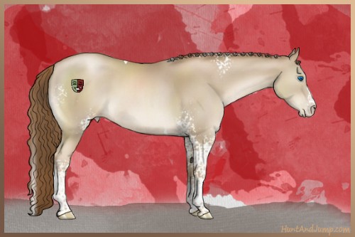 Horse Color:White Spotted Smoky Black Pearl Splash Tobiano