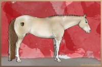 Horse Color:White Spotted Smoky Black Pearl Splash Tobiano