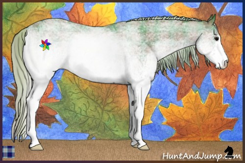 Horse Color:Watercolor Plaid  White Spotted Silver Black Rabicano 