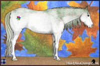 Horse Color:Watercolor Plaid  White Spotted Silver Black Rabicano 