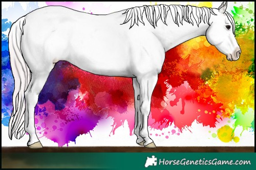 Horse Color:Watercolor Silver Black Ice Sabino Rabicano 