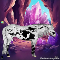 Horse Color:Silver Buckskin Chinchilla Ice Roan Sabino Frame Rabicano 