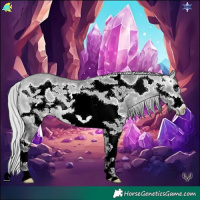 Horse Color:Silver Buckskin Chinchilla Ice Roan Sabino Frame Rabicano 