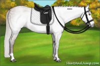 Horse Color:Gray Silver Black Pearl Tobiano