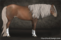 Horse Color:Gray Silver Black Pearl Tobiano