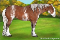 Horse Color:White Spotted Silver Bay Splash 