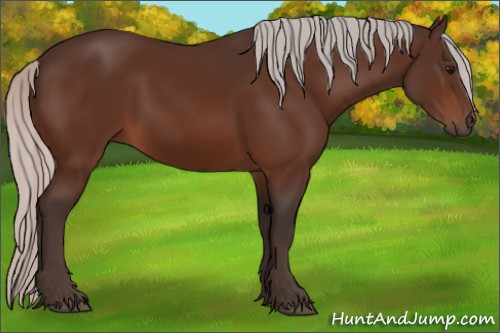 Horse Color:Silver Bay 