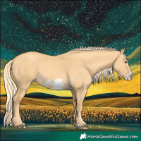 Horse Color:Gold Cream Champagne Dun Frame 