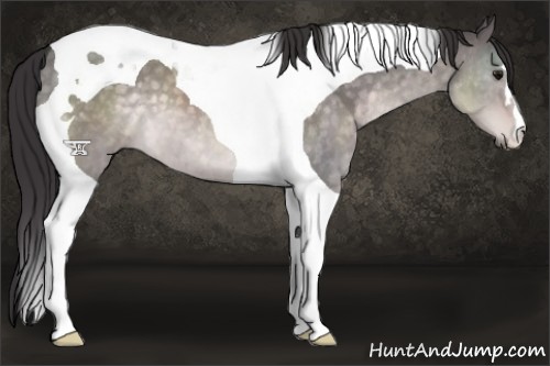 Horse Color:Platinum Buckskin Dun Tobiano 